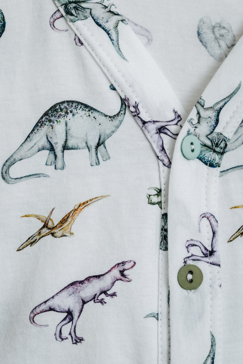 WALTER BOYS’ JERSEY COTTON PYJAMA SET DINOSAUR