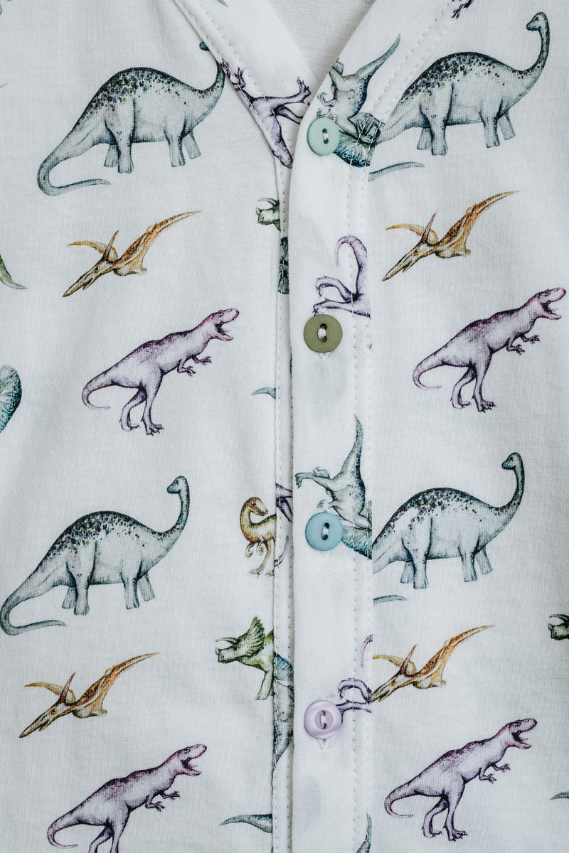 WALTER BOYS’ JERSEY COTTON PYJAMA SET DINOSAUR